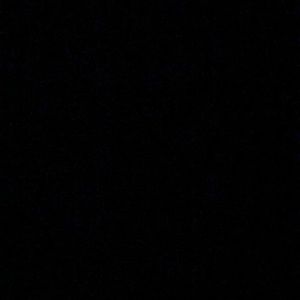 Meet your Posher, Jake